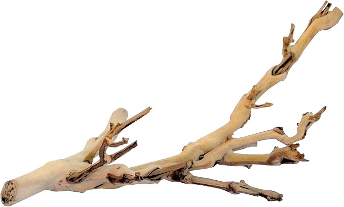 Exo Terra Forest Branch Small - Natural Wood Terrarium Decoration