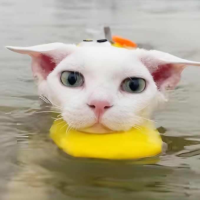 Cat Water Life Jacket for Cats, Cat Swimming Safety Vest, Adjustable Ripstop Design with Superior Buoyancy and Rescue Handle, for 11–22 lbs Cats, Yellow