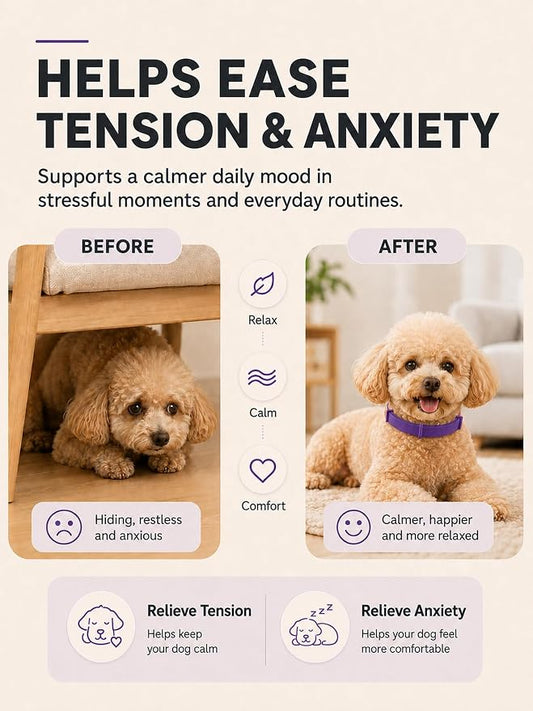 Booklov Calming Collar for Dogs - Separation Anxiety Stress Relief, Purple
