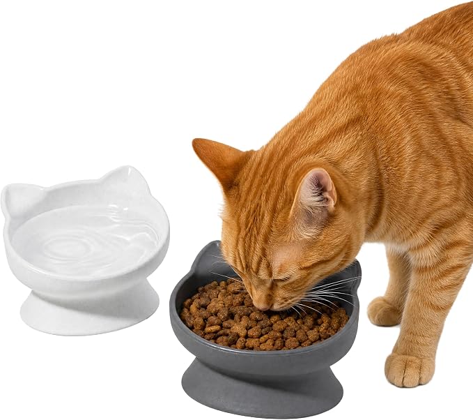 Kitty City Elevated Cat Bowls (Set of 2), Whisker-Friendly Raised Cat Food & Water Dishes, Modern Pedestal Design, Dishwasher Safe, 6.5 oz Each – White & Gray