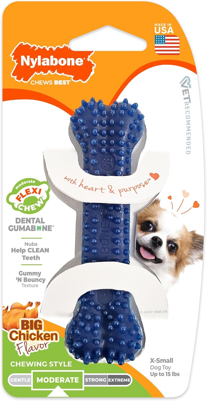 Nylabone Flexi Chew Dental Gumabone Dog Chew Toy, Chicken Flavor, X-Small