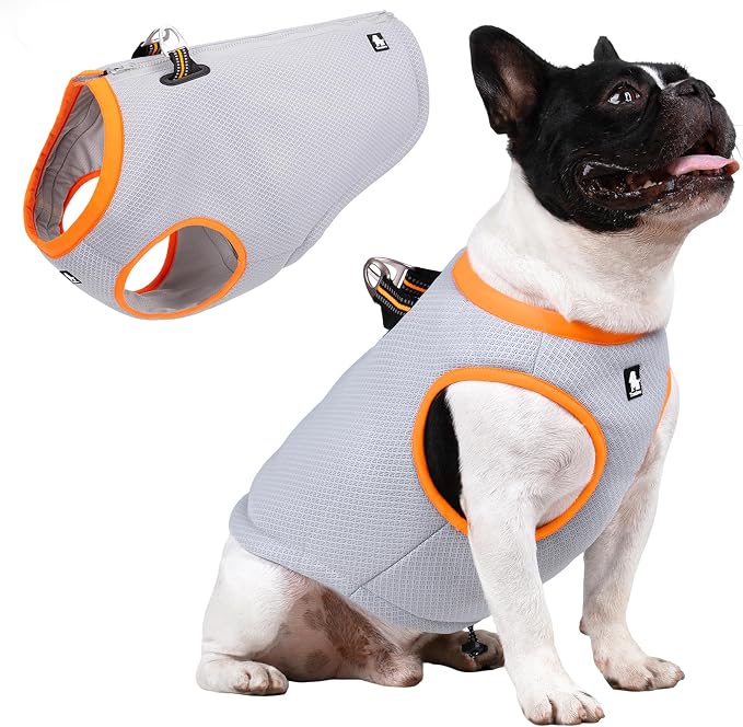 JUXZH Dog Cooling Vest,Evaporative Cooling Jacket Orange,XX-Small