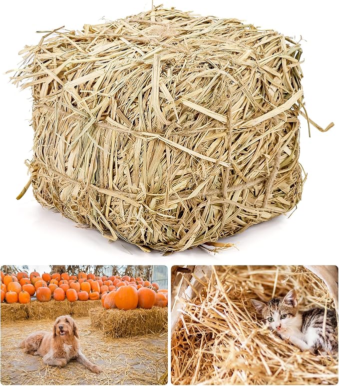 Natural Straw Bale for Cat Shelter – 8"x8"x8"Soft & Dry Straw Bedding for Cats, Feral Cats & Small Animals | Decorative Hay Bale for Outdoor Use, Farm Décor, Garden Straw & Pet Bedding (1)