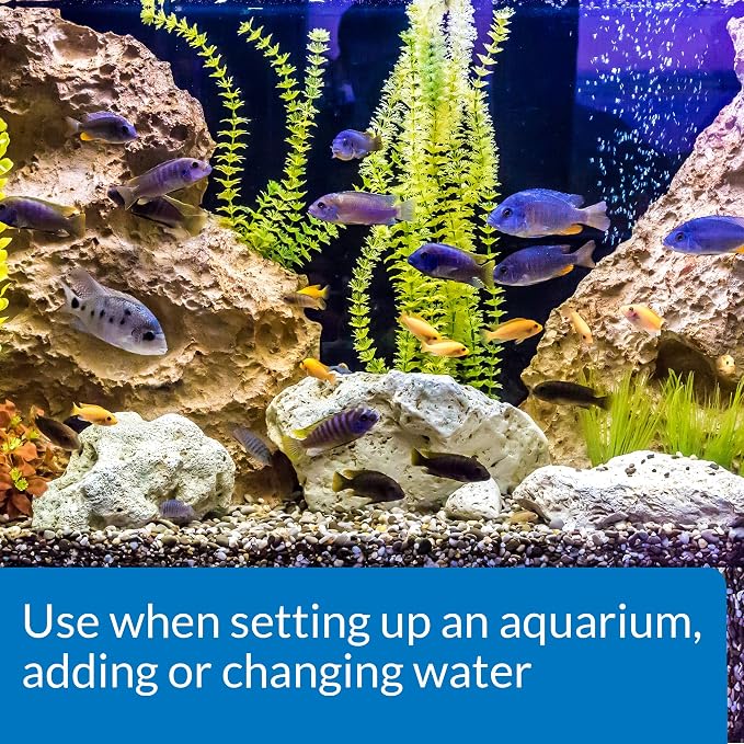 API TAP WATER CONDITIONER Aquarium Water Conditioner 16-Ounce Bottle