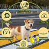 AMERTEER Treat Dispensing Puzzle Toys | Small & Medium Dogs and Cats | Interactive Chase Toys, Barbell & Robot-Shaped Slow Feeder Alternative to Improve Pet Digestion and Mental Stimulation (Yellow)
