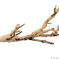 Exo Terra Forest Branch Small - Natural Wood Terrarium Decoration