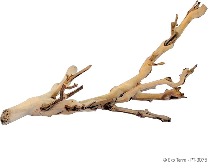 Exo Terra Forest Branch Small - Natural Wood Terrarium Decoration