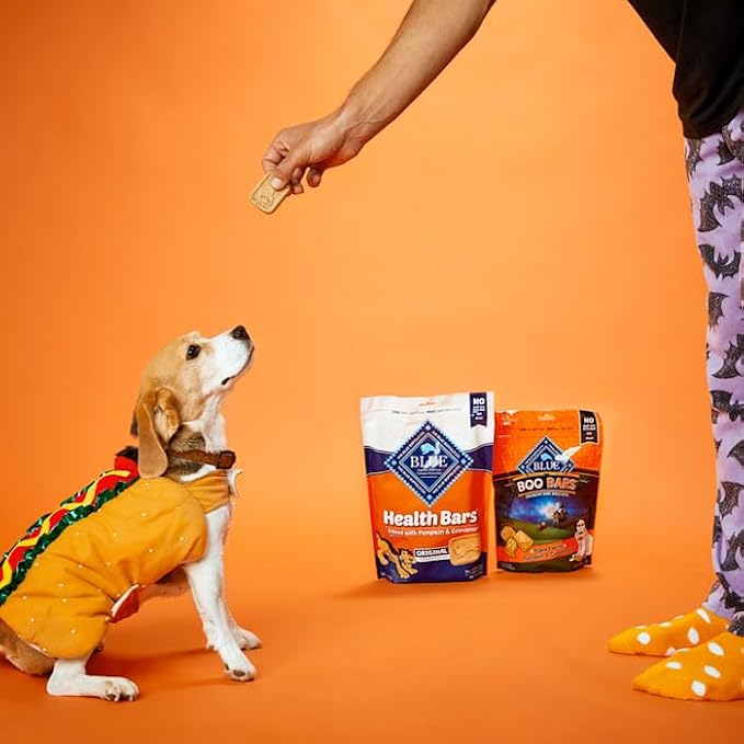 Blue Buffalo Health Bars Pumpkin & Cinnamon Dog Biscuits, 16 oz