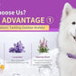 Drug-Free Pheromone Calming Collar for Dogs Anxiety Relief, Soft Adjustable for Small to Large Dogs Relief & Stress Reduction for Thunderstorms,Travel, Fireworks and Noise