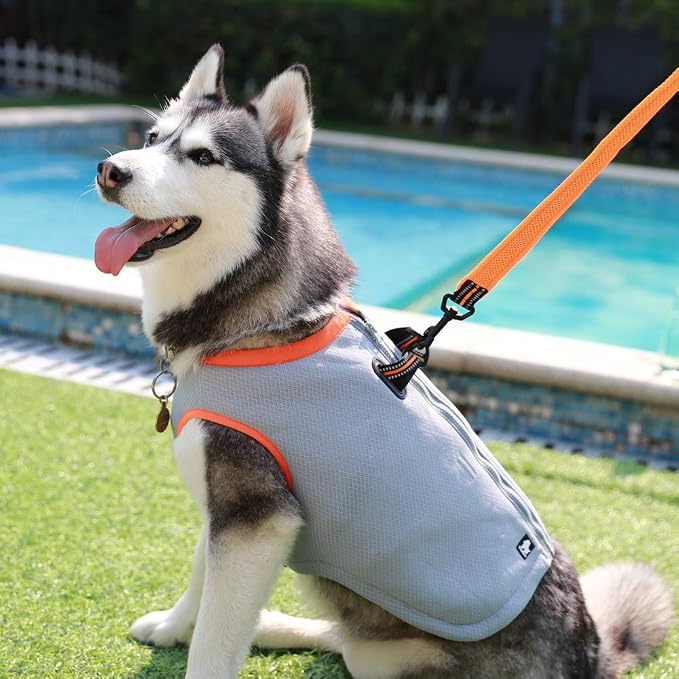 JUXZH Dog Cooling Vest,Evaporative Cooling Jacket Orange,XX-Small