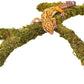Leopard Gecko Tank Accessories, Adjustable Climbing Toys Supplies, Terrarium Habitat Decor