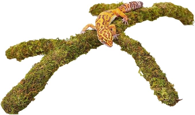 Leopard Gecko Tank Accessories, Adjustable Climbing Toys Supplies, Terrarium Habitat Decor