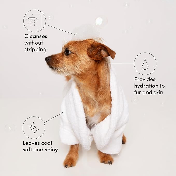 OUAI Fur Bébé Pet Shampoo - Mercer Street Scent (16 Fl oz)