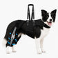 2 in 1 Dog Knee Brace with Lift Harness for Back Leg Recovery