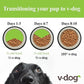 V-dog Vegan Mini Kibble Dry Dog Food (4.5 LB) Small Breed Dogs | Plant-Based Protein with Added Taurine for Sensitive Stomach and Skin | All Natural Made in US