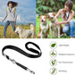 Dog Whistle, 2 PACK Ultrasonic Dog Whistle to Stop Barking Neighbors Dog, Adjustable Ultrasonic Silent Dog Whistle, Professional Recall Dog Training Whistles to Stop Barking Control Devices, Lanyard