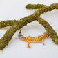 Leopard Gecko Tank Accessories, Adjustable Climbing Toys Supplies, Terrarium Habitat Decor