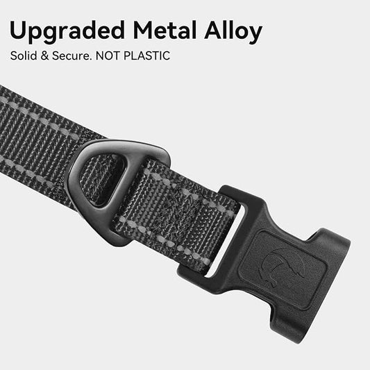 Joytale Reflective Dog Collar, Adjustable Neoprene Padded, Black L