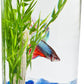 Tetra LED Half Moon 1.1 Gallon Fish Tank Kit for Betta Fish