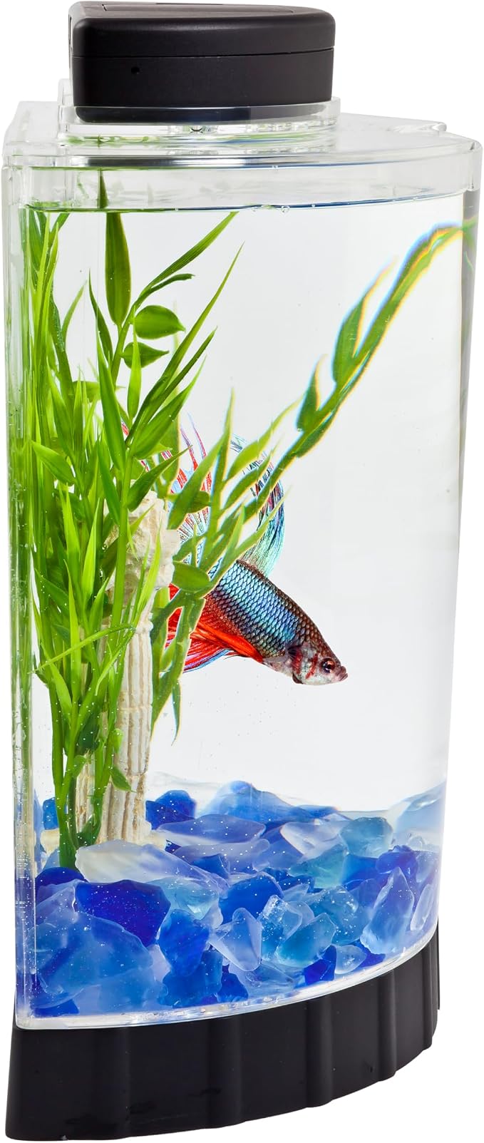 Tetra LED Half Moon 1.1 Gallon Fish Tank Kit for Betta Fish