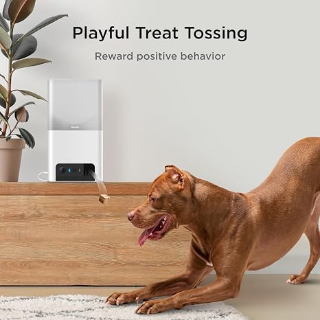 Petcube Bites 2 Lite Pet Camera [Subscription Required] - Treat Dispenser