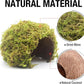 Hamster Hideaway/Hideout,Mossy Cave Hide,Hamster House/Hides,Hamster Cage Accessories for Gguinea Pig/Hedgehogs/Gliders/Rats/Mice and Other Small Animals (Small)