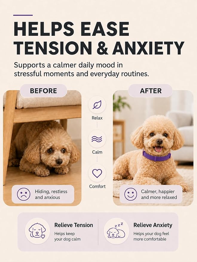 Booklov Calming Collar for Dogs - Separation Anxiety Stress Relief, Purple