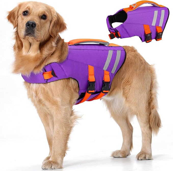 LeLePet Dog Life Jacket, High Flotation Swim Vest for Dogs L Purple