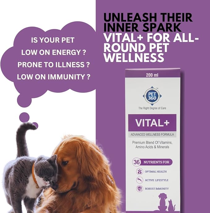 PET360 Vital+ Advanced Wellness Formula for Dogs & Cats | Multivitamin Syrup for Healthy Skin, Joints & Boosted Immunity | Nutritional Supplement with Vitamins & Minerals for Enhanced Growth - 200 ml