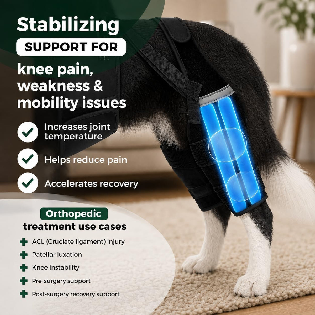 2 in 1 Dog Knee Brace with Lift Harness for Back Leg Recovery