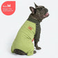 KYEESE Turtleneck Dog Pajamas for Small Dogs Warm Dog Onesie, Green
