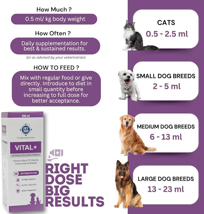 PET360 Vital+ Advanced Wellness Formula for Dogs & Cats | Multivitamin Syrup for Healthy Skin, Joints & Boosted Immunity | Nutritional Supplement with Vitamins & Minerals for Enhanced Growth - 200 ml