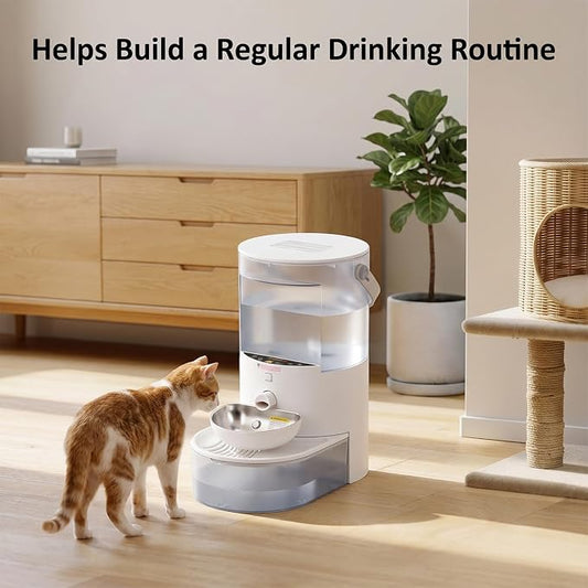 Wireless Cat Water Fountain Cordless Wastewater No Filters Bowl Dogs Bowls Separation Smart Stainless Steel Pet Dispenser Fountains for Cats Indoor Large Rechargeable Small Dog 3.8L