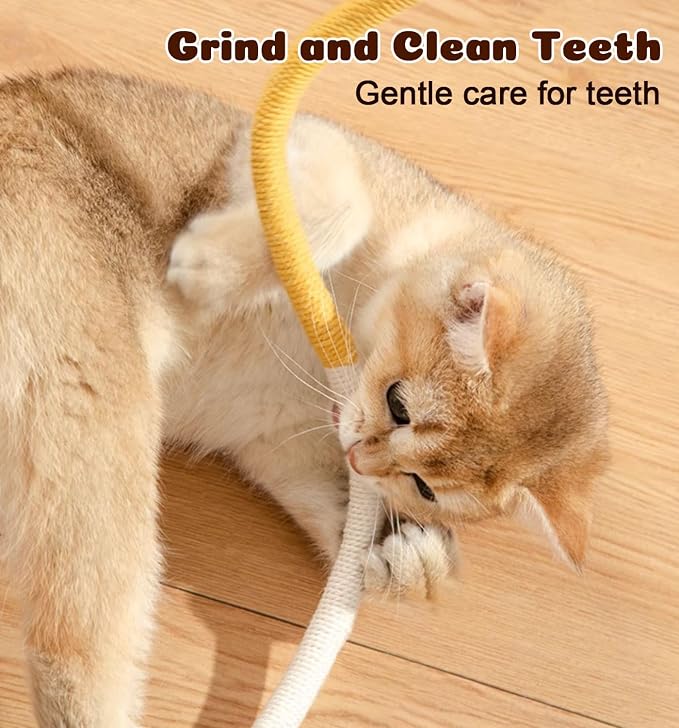 Cat Chew Ropes 4Pcs, Safe Cat Chew Toys for Indoor Cats with Catnip