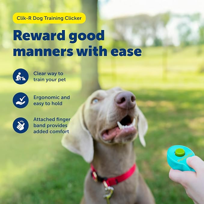 PetSafe Clik-R Dog Training Clicker, Blue