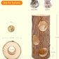 Niteangel Natural Wooden Hamster Mouse Tunnel Tube Toy Forest Hollow Tree Trunk