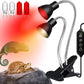 Heat Lamp for Reptile,UVA UVB Light for Turtle,Bearded Dragon Basking Light Bulbs,Dimmable 360°Gooseneck UV Heating Lamp W/ G9 Mini Halogen Bulbs 60W (White*2，Red*2) for Tortoise/Snake/Lizard