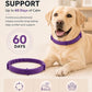 Booklov Calming Collar for Dogs - Separation Anxiety Stress Relief, Purple