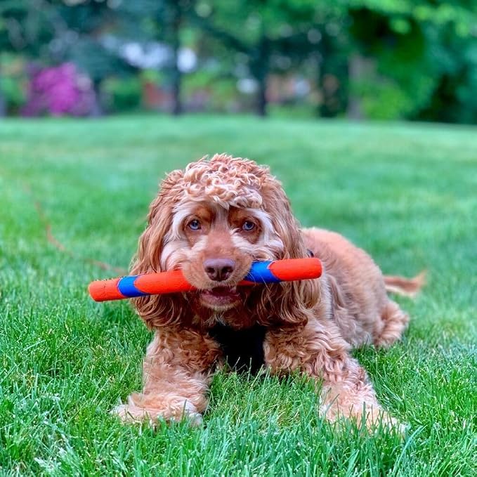 Chuckit! Ultra Fetch Stick Interactive Dog Toy, 12in, All Breeds