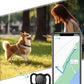 iOS Smart GPS Dog Collar, Mini Pet Activity Tracker No Monthly fee 1 Pack
