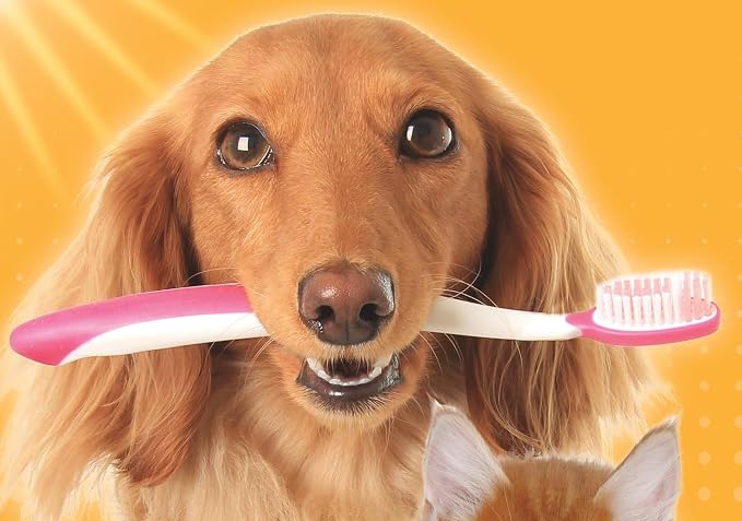 Arm & Hammer Tartar Control Dog Dental Kit, Beef Flavor, 3-Piece