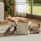 DownyPaws Cat House for Indoor Cats, Peekaboo Cat Bed Cave, Cream