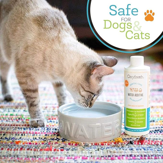 Oxyfresh Premium Pet Dental Care Solution Pet Water Additive: Best Way to Eliminate Bad Dog Breath and Cat Bad Breath - Fights Tartar & Plaque - So Easy, Just Add to Water! Vet Recommended 16 oz.