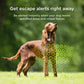 Petcube GPS Tracker for Dogs – Real-Time GPS Tracking