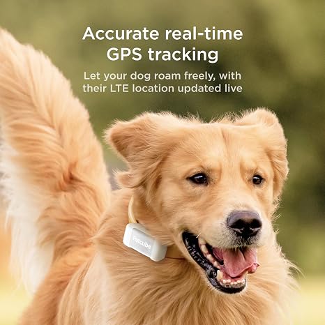 Petcube GPS Tracker for Dogs – Real-Time GPS Tracking