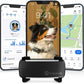 Tractive Smart Dog GPS Tracker | Live Pet Tracker with Virtual Fence | Vital Signs Monitoring of Heart & Respiratory Rate | Bark Monitoring | Dog Collar Attachment (Black)