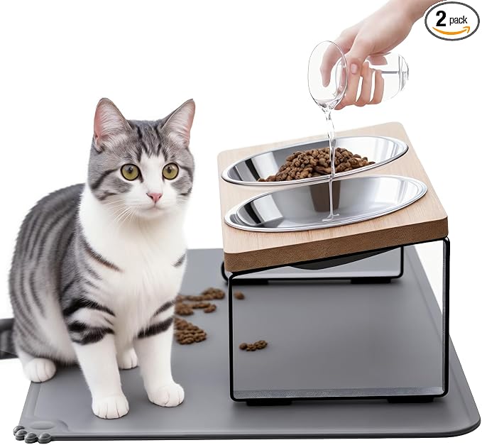 Upgraded Elevated Cat Bowls with Food Mat,15°Tilted Stand Anti Vomiting Raised Cat Dishes for Food and Water,2 Stainless Steel Bowls for Cats and Puppy