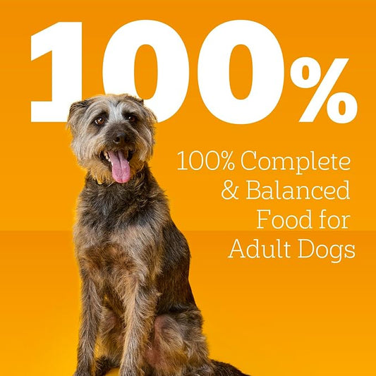 Pedigree Choice Cuts In Gravy Adult Canned Soft Wet Dog Food With Beef, 22 oz. Cans (12 Count, Pack of 1)