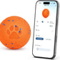 Smart Interactive Dog Ball, APP-Controlled, Chew-Resistant Toy
