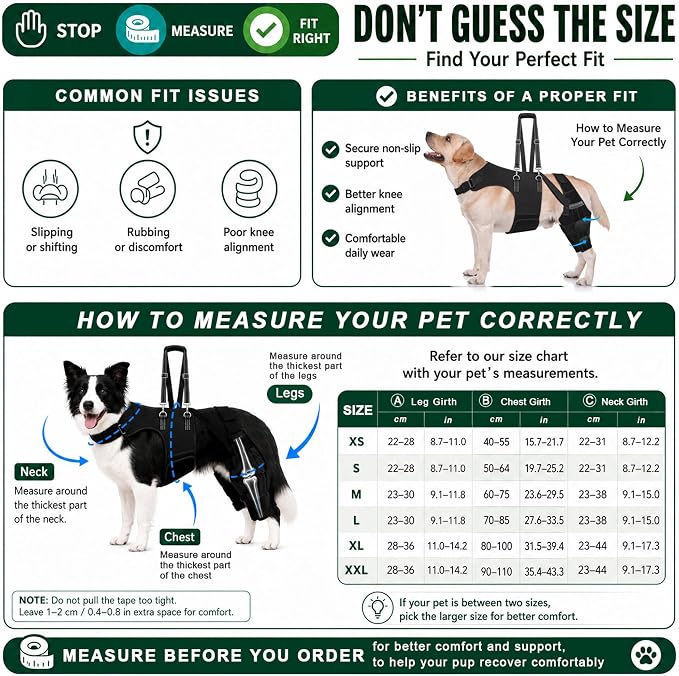 2 in 1 Dog Knee Brace with Lift Harness for Back Leg Recovery